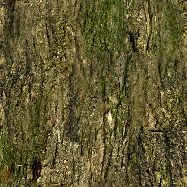 Textures   -   NATURE ELEMENTS   -   BARK  - Bark texture seamless 12324 - HR Full resolution preview demo