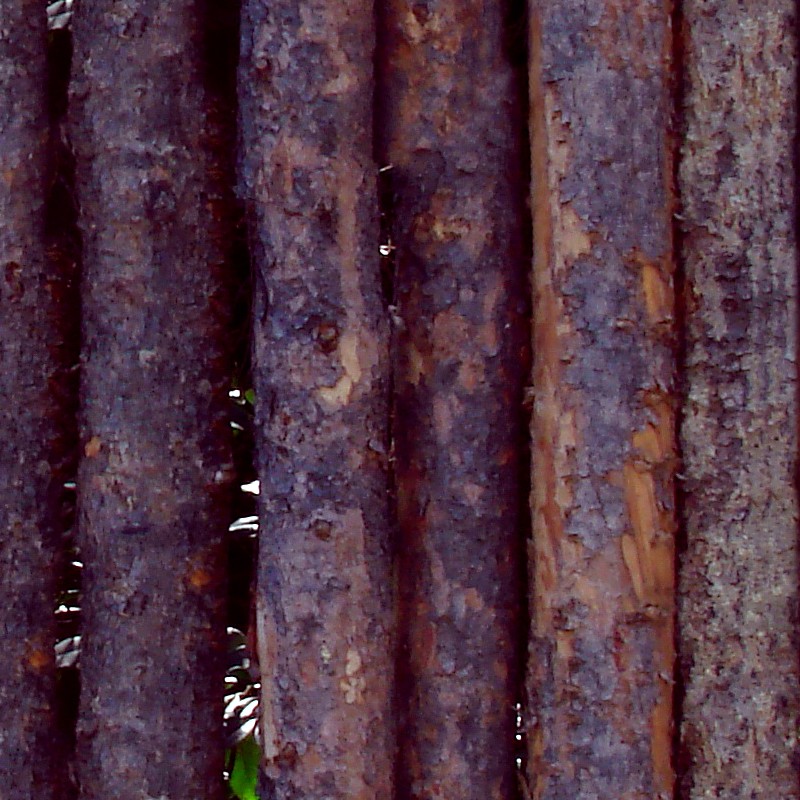 Textures   -   ARCHITECTURE   -   WOOD PLANKS   -   Wood fence  - Fence trunks wood texture seamless 09397 - HR Full resolution preview demo