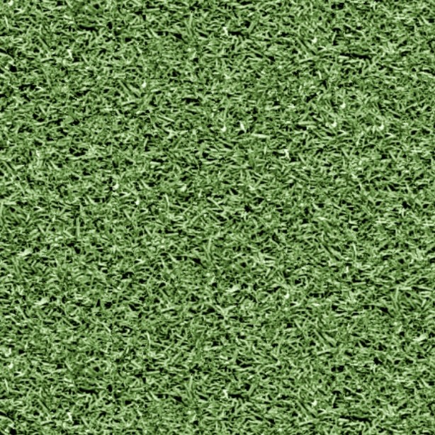 Textures   -   NATURE ELEMENTS   -   VEGETATION   -   Green grass  - Green grass texture seamless 12984 - HR Full resolution preview demo