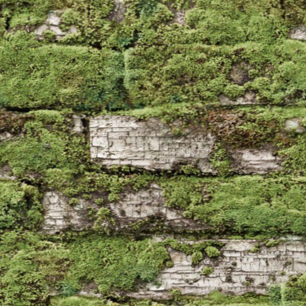 Textures   -   NATURE ELEMENTS   -   VEGETATION   -   Moss  - Moss brick texture seamless 13168 - HR Full resolution preview demo