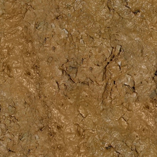 Textures   -   NATURE ELEMENTS   -   SOIL   -   Mud  - Mud texture seamless 12889 - HR Full resolution preview demo