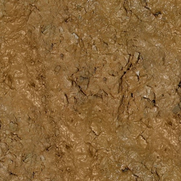 Textures   -   NATURE ELEMENTS   -   SOIL   -   Mud  - Mud texture seamless 12889 - HR Full resolution preview demo