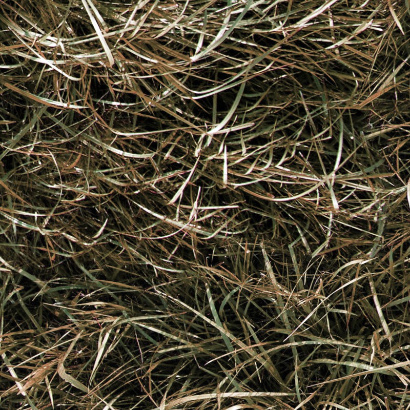 Textures   -   NATURE ELEMENTS   -   VEGETATION   -   Dry grass  - Dry grass texture seamless 12931 - HR Full resolution preview demo