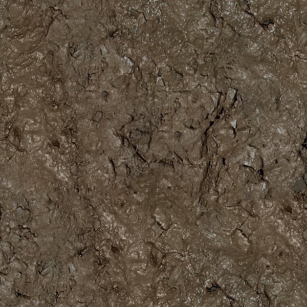 Textures   -   NATURE ELEMENTS   -   SOIL   -   Mud  - Mud texture seamless 12890 - HR Full resolution preview demo