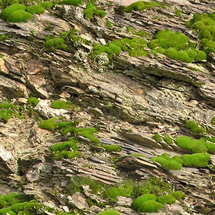 Textures   -   NATURE ELEMENTS   -   VEGETATION   -   Moss  - Rock moss texture seamless 13169 - HR Full resolution preview demo