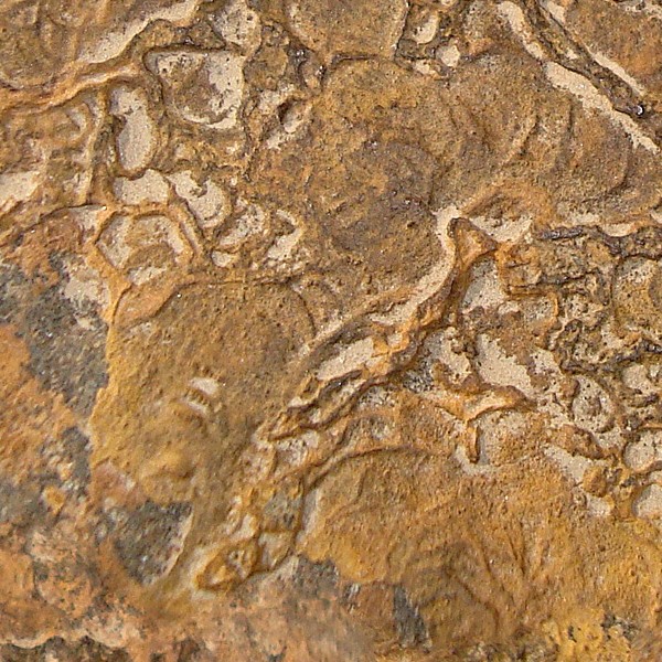 Textures   -   NATURE ELEMENTS   -   ROCKS  - Rock stone texture seamless 12638 - HR Full resolution preview demo