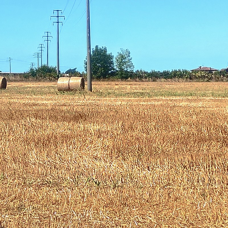 Textures   -   BACKGROUNDS &amp; LANDSCAPES   -   NATURE   -   Countrysides &amp; Hills  - Countryside landscape with hay rolls 17614 - HR Full resolution preview demo