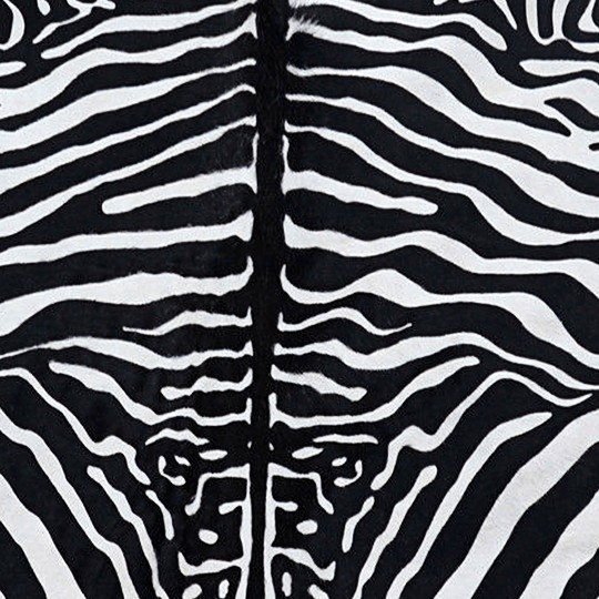 Textures   -   MATERIALS   -   RUGS   -   Cowhides rugs  - Cow leather rug zebra printed texture 20027 - HR Full resolution preview demo