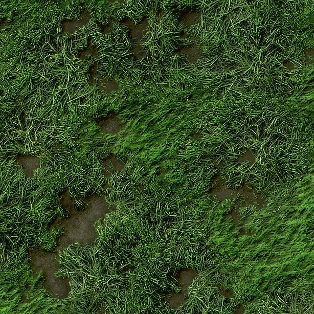 Textures   -   NATURE ELEMENTS   -   VEGETATION   -   Green grass  - Green grass texture seamless 12986 - HR Full resolution preview demo