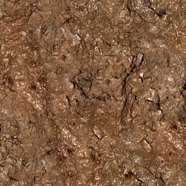 Textures   -   NATURE ELEMENTS   -   SOIL   -   Mud  - Mud texture seamless 12891 - HR Full resolution preview demo