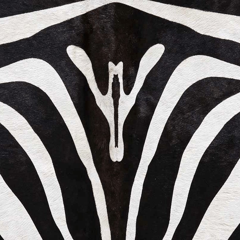 Textures   -   MATERIALS   -   RUGS   -   Cowhides rugs  - Cow leather rug zebra printed texture 20028 - HR Full resolution preview demo