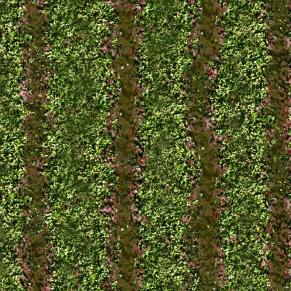 Textures   -   NATURE ELEMENTS   -   VEGETATION   -   Green grass  - Green grass texture seamless 12987 - HR Full resolution preview demo