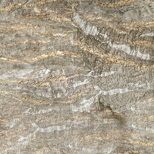 Textures   -   NATURE ELEMENTS   -   BARK  - Palm bark texture seamless 12327 - HR Full resolution preview demo