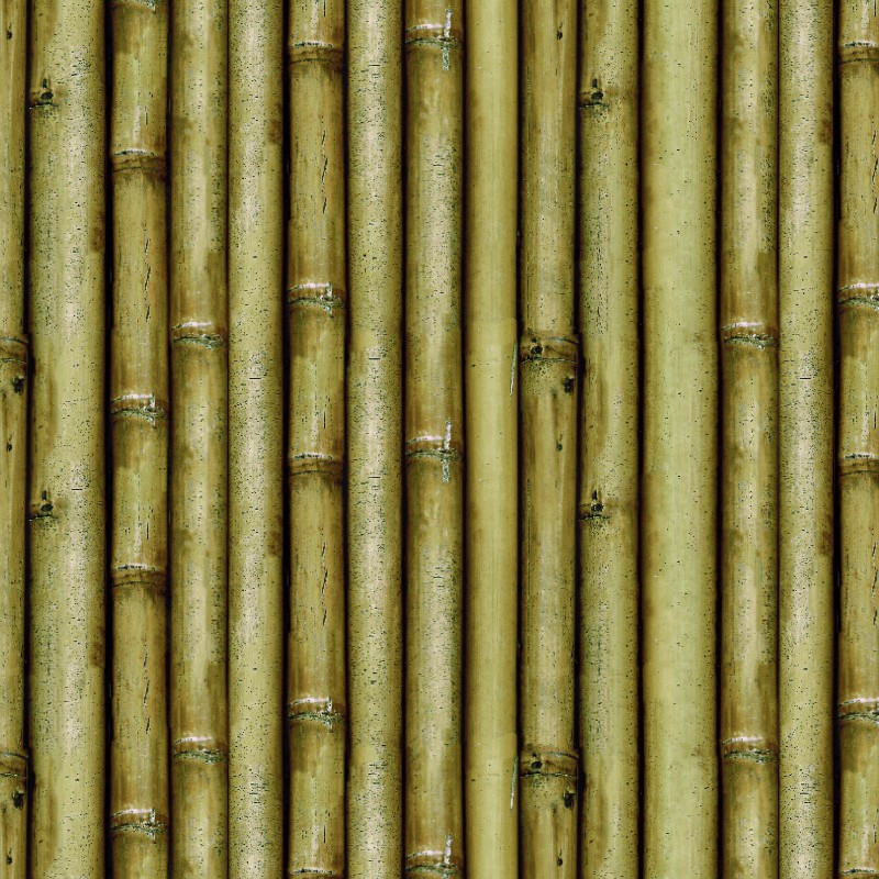 Textures   -   NATURE ELEMENTS   -   BAMBOO  - Bamboo texture seamless 12287 - HR Full resolution preview demo
