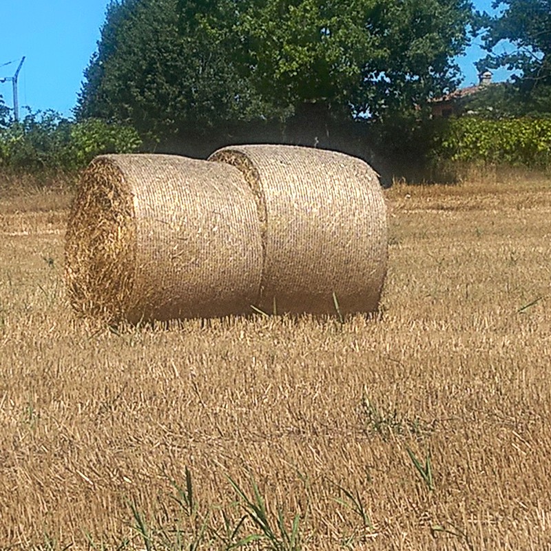 Textures   -   BACKGROUNDS &amp; LANDSCAPES   -   NATURE   -   Countrysides &amp; Hills  - Countryside landscape with hay rolls 17616 - HR Full resolution preview demo