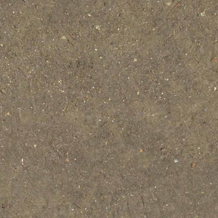 Textures   -   NATURE ELEMENTS   -   SAND  - Dirt beach sand texture seamless 12720 - HR Full resolution preview demo