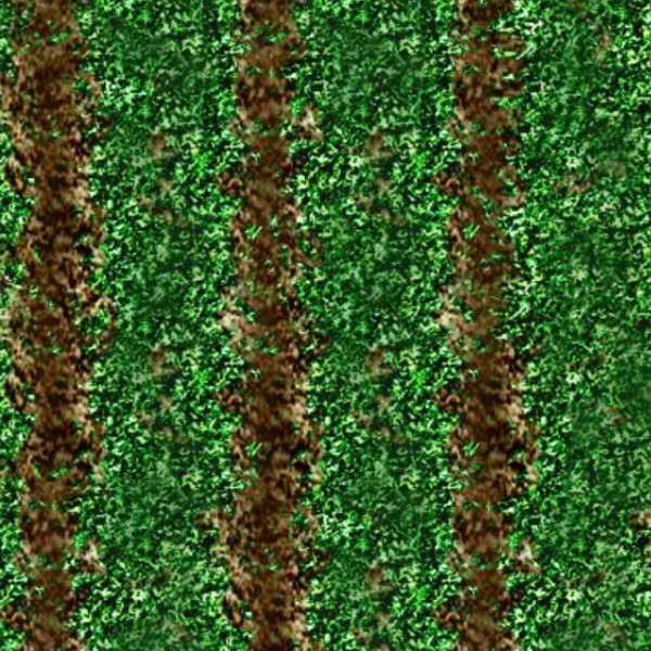 Textures   -   NATURE ELEMENTS   -   VEGETATION   -   Green grass  - Green grass texture seamless 12988 - HR Full resolution preview demo