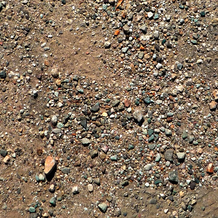 Textures   -   NATURE ELEMENTS   -   SOIL   -   Ground  - Ground whit gravel texture seamless 12831 - HR Full resolution preview demo