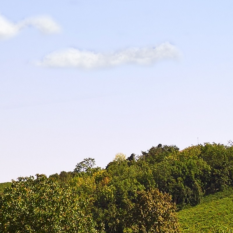 Textures   -   BACKGROUNDS &amp; LANDSCAPES   -   NATURE   -   Vineyards  - Italy vineyards background 17744 - HR Full resolution preview demo