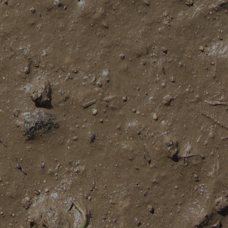 Textures   -   NATURE ELEMENTS   -   SOIL   -   Mud  - Mud texture seamless 12893 - HR Full resolution preview demo