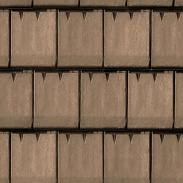 Textures   -   ARCHITECTURE   -   ROOFINGS   -   Clay roofs  - Clay roofing Giverny texture seamless 03362 - HR Full resolution preview demo