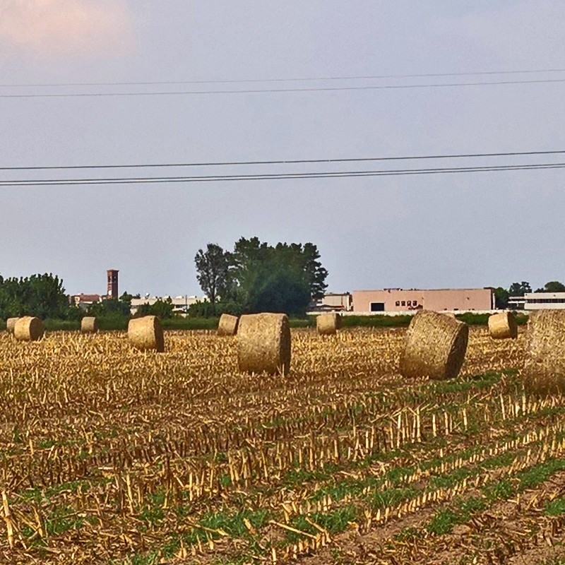 Textures   -   BACKGROUNDS &amp; LANDSCAPES   -   NATURE   -   Countrysides &amp; Hills  - Countryside landscape with hay rolls 17617 - HR Full resolution preview demo