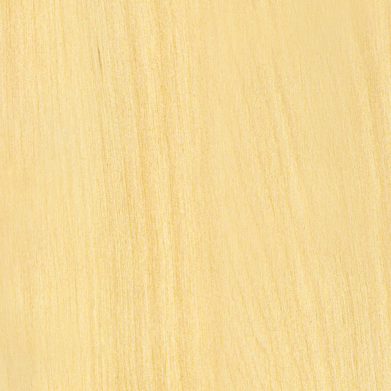maple wood texture www imgkid com the image kid has it maple wood texture www imgkid com the image kid has it