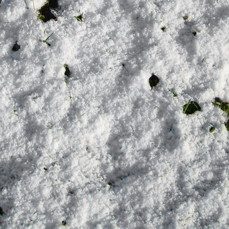 Snow With Grass Texture Seamless 127