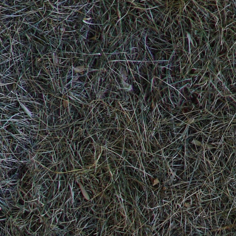 Textures   -   NATURE ELEMENTS   -   VEGETATION   -   Dry grass  - Dry grass texture seamless 12936 - HR Full resolution preview demo