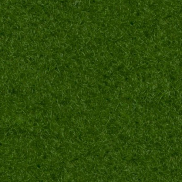 Textures   -   MATERIALS   -   CARPETING   -   Green tones  - Green outdoor carpeting texture seamless 16723 - HR Full resolution preview demo