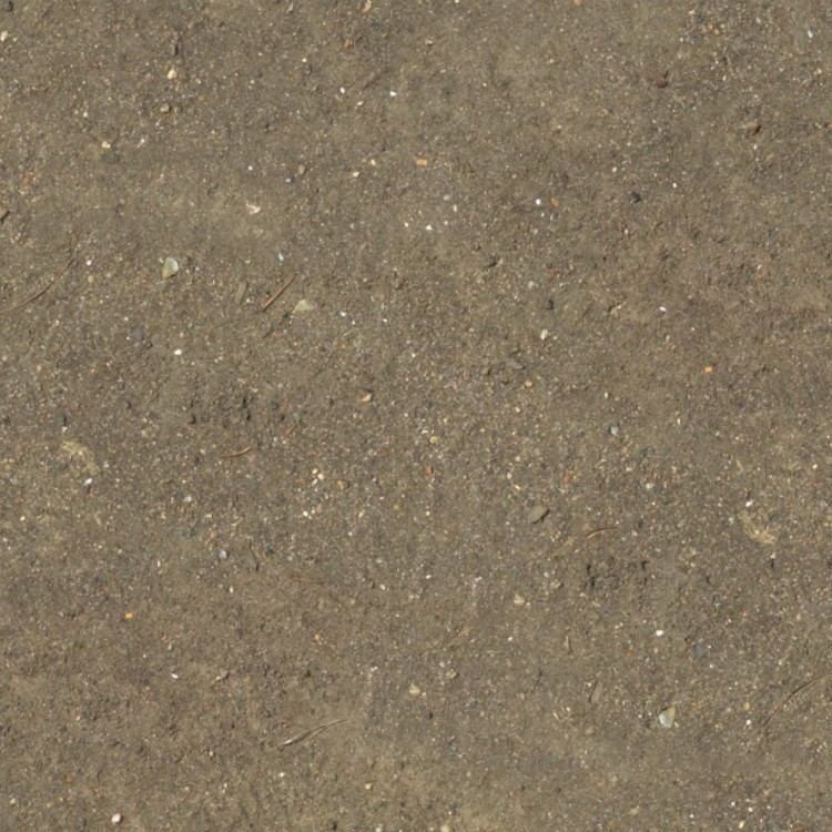 Textures   -   NATURE ELEMENTS   -   SOIL   -   Ground  - Ground texture seamless 12833 - HR Full resolution preview demo