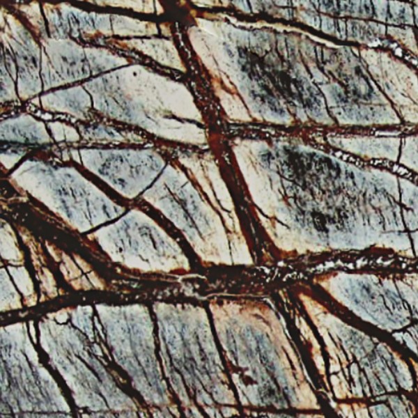 Textures   -   ARCHITECTURE   -   MARBLE SLABS   -   Brown  - Slab marble forest brown texture seamless 01991 - HR Full resolution preview demo