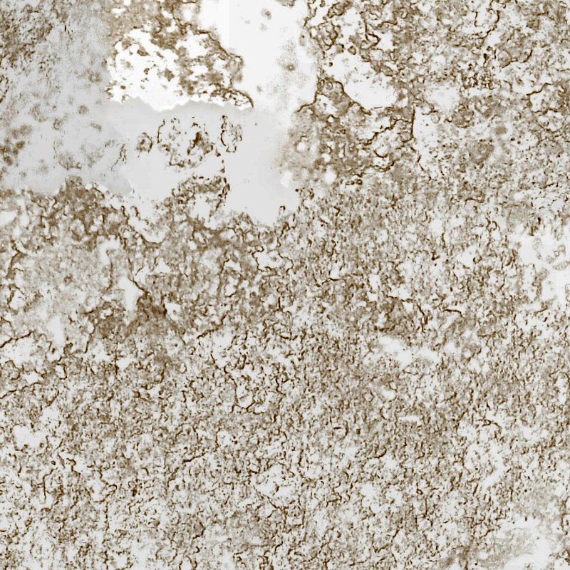 Textures   -   ARCHITECTURE   -   PLASTER   -   Old plaster  - Old plaster texture seamless 06867 - HR Full resolution preview demo