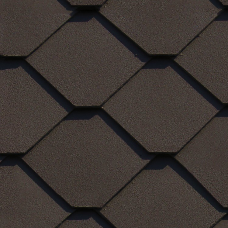 Textures   -   ARCHITECTURE   -   ROOFINGS   -   Slate roofs  - Slate roofing texture seamless 03919 - HR Full resolution preview demo