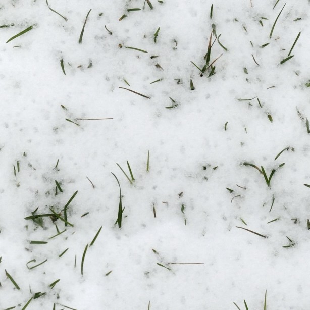 Textures   -   NATURE ELEMENTS   -   SNOW  - Snow with grass texture seamless 12791 - HR Full resolution preview demo