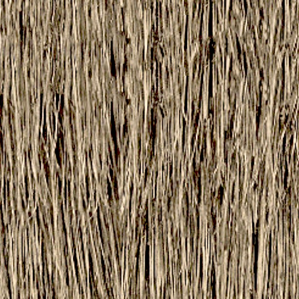 Textures   -   ARCHITECTURE   -   ROOFINGS   -   Thatched roofs  - Thatched roof texture seamless 04061 - HR Full resolution preview demo