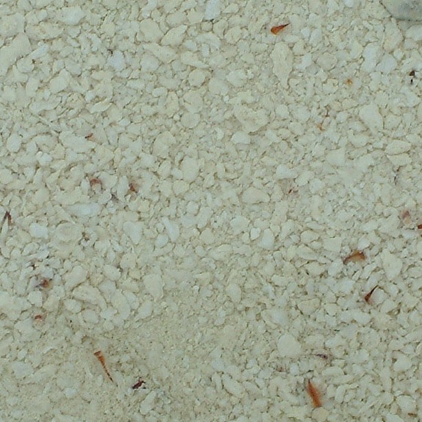 Textures   -   NATURE ELEMENTS   -   SAND  - Underwater beach sand texture seamless 12723 - HR Full resolution preview demo