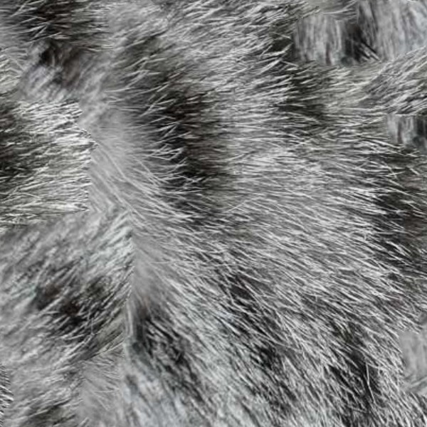 Cat animal fur texture seamless 09726