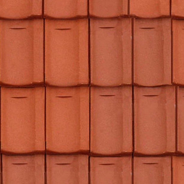 Textures   -   ARCHITECTURE   -   ROOFINGS   -   Clay roofs  - Clay roofing Jura texture seamless 03365 - HR Full resolution preview demo