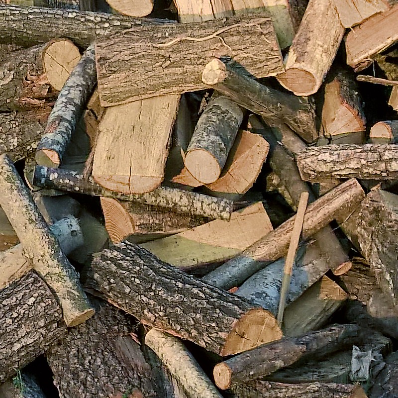 Textures   -   ARCHITECTURE   -   WOOD   -   Wood logs  - Cut out wood logs texture 17432 - HR Full resolution preview demo