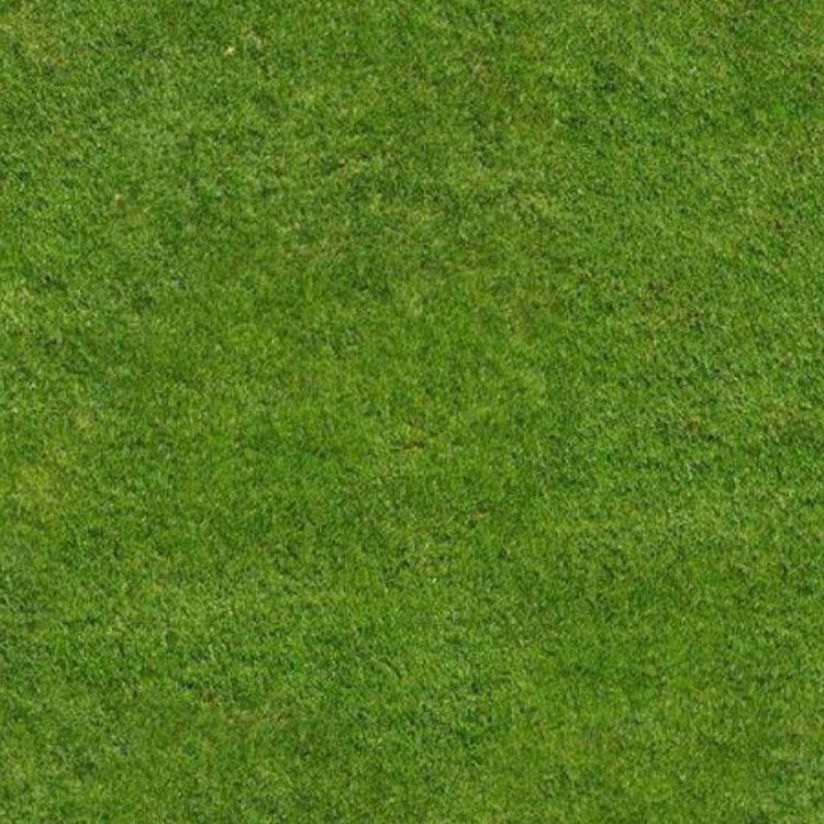 Textures   -   NATURE ELEMENTS   -   VEGETATION   -   Green grass  - Green grass texture seamless 12991 - HR Full resolution preview demo