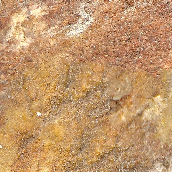 Textures   -   NATURE ELEMENTS   -   ROCKS  - Rock stone texture seamless 12645 - HR Full resolution preview demo