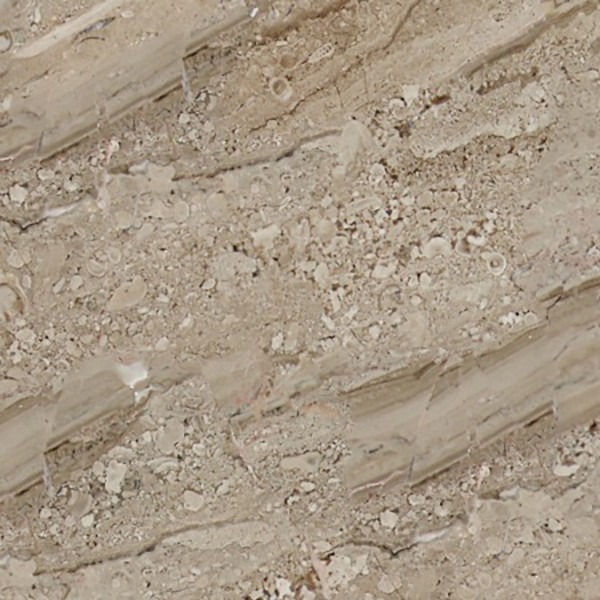 Textures   -   ARCHITECTURE   -   MARBLE SLABS   -   Brown  - Slab marble royal deer texture seamless 01993 - HR Full resolution preview demo