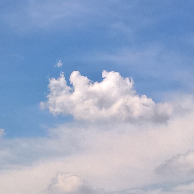 Textures   -   BACKGROUNDS &amp; LANDSCAPES   -   SKY &amp; CLOUDS  - Sky with rural background 17804 - HR Full resolution preview demo