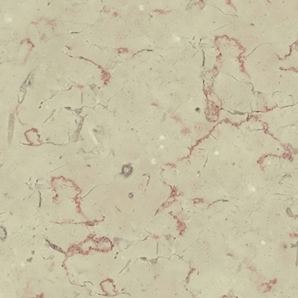 Textures   -   ARCHITECTURE   -   MARBLE SLABS   -   Cream  - Slab marble beige terrasanta texture seamless 02063 - HR Full resolution preview demo
