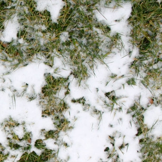 Textures   -   NATURE ELEMENTS   -   SNOW  - Snow with grass texture seamless 12793 - HR Full resolution preview demo