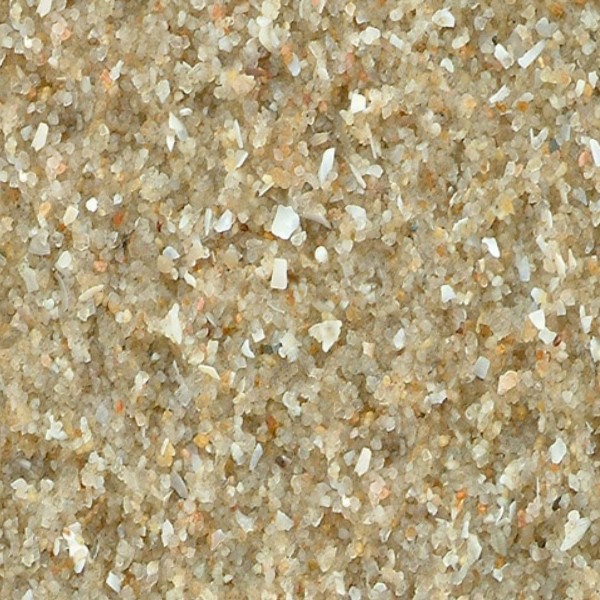 Textures   -   NATURE ELEMENTS   -   SAND  - Beach sand texture seamless 12726 - HR Full resolution preview demo