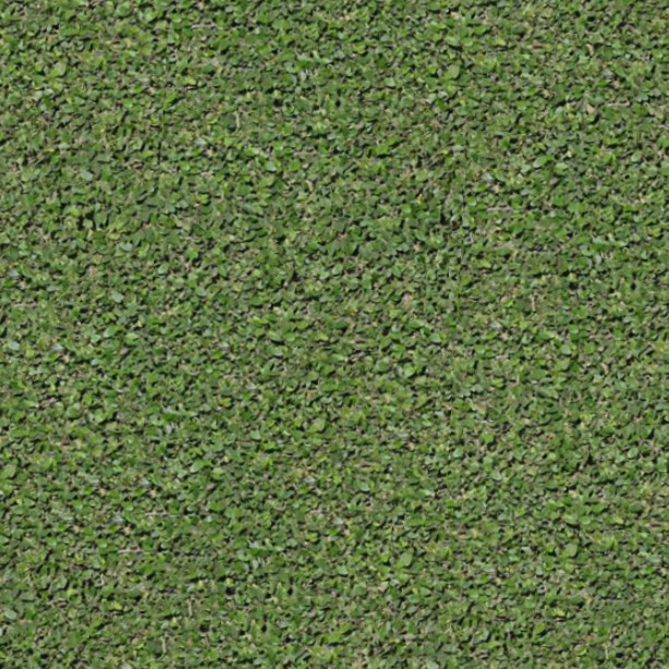 Textures   -   NATURE ELEMENTS   -   VEGETATION   -   Green grass  - Green grass texture seamless 12996 - HR Full resolution preview demo
