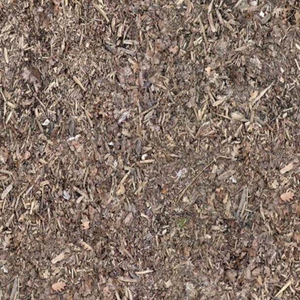 Textures   -   NATURE ELEMENTS   -   SOIL   -   Ground  - Ground texture seamless 12840 - HR Full resolution preview demo