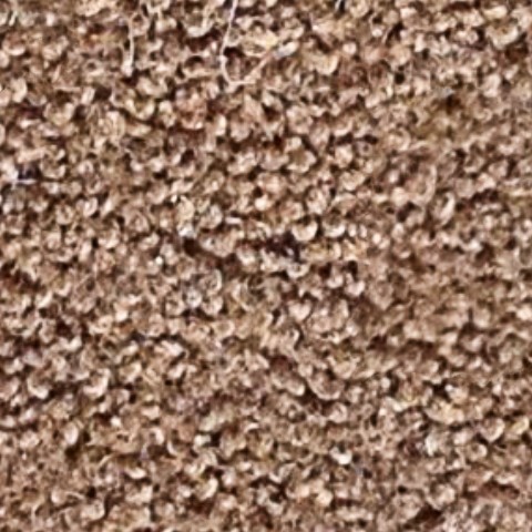 Textures   -   MATERIALS   -   CARPETING   -   Brown tones  - Ligth brown carpeting texture seamless 16556 - HR Full resolution preview demo